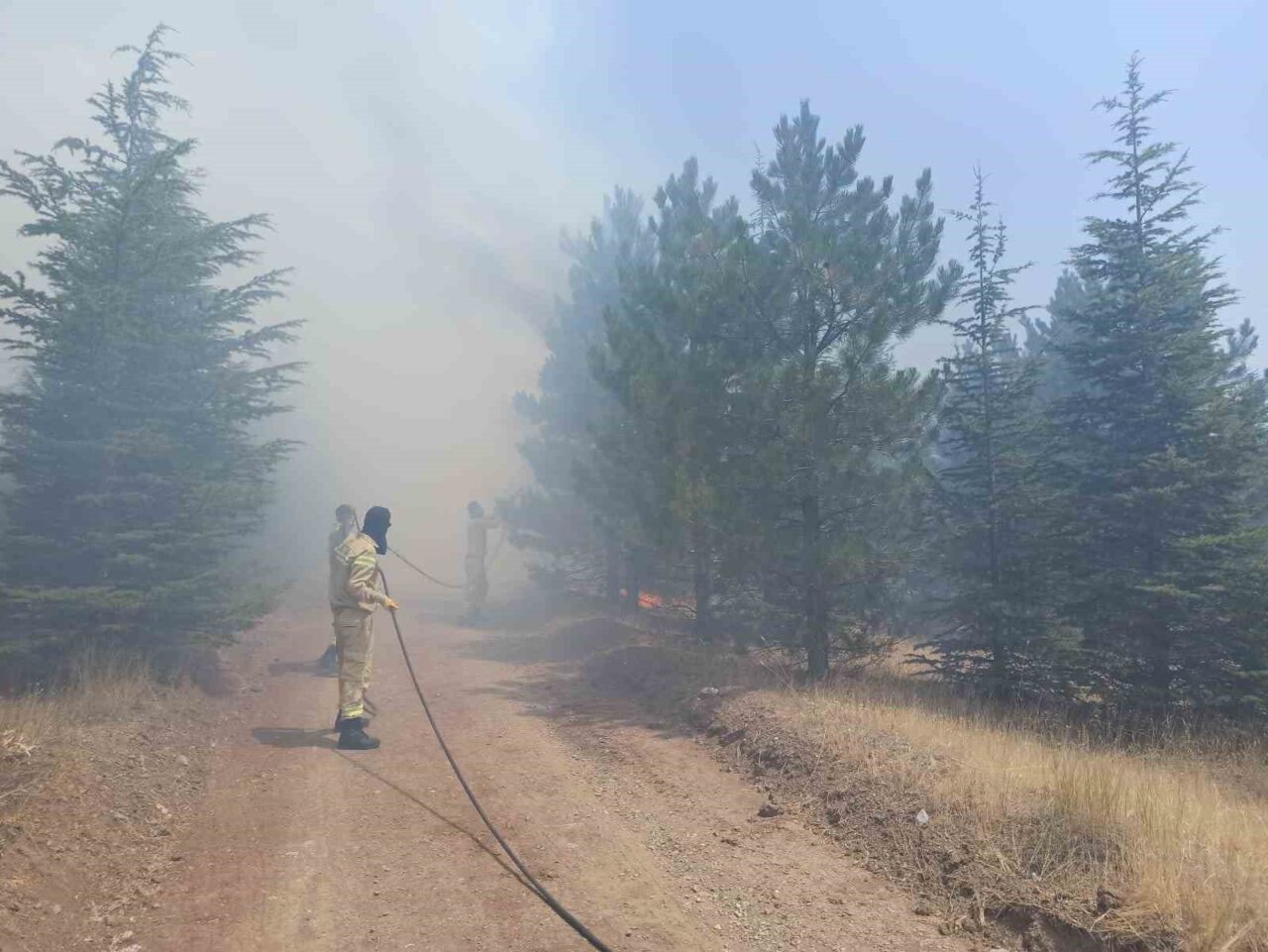 Malatya’nın Doğanşehir ilçesinde ormanlık alanda yangın çıktı. Geniş bir alanda