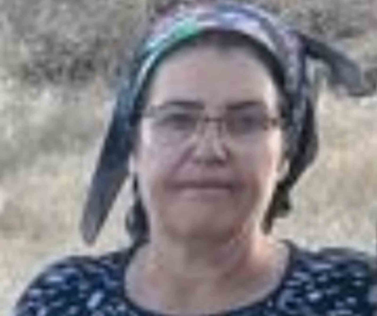 Malatya’nın Darende ilçesinde üç çocuk annesi bir kadın, evinin bahçesindeki