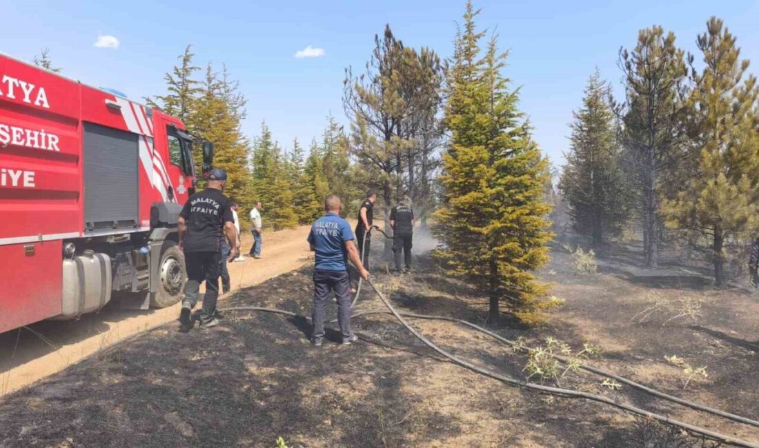 Malatya’nın Doğanşehir ilçesinde ormanlık alanda çıkan yangın söndürüldü. Doğanşehir ilçesi
