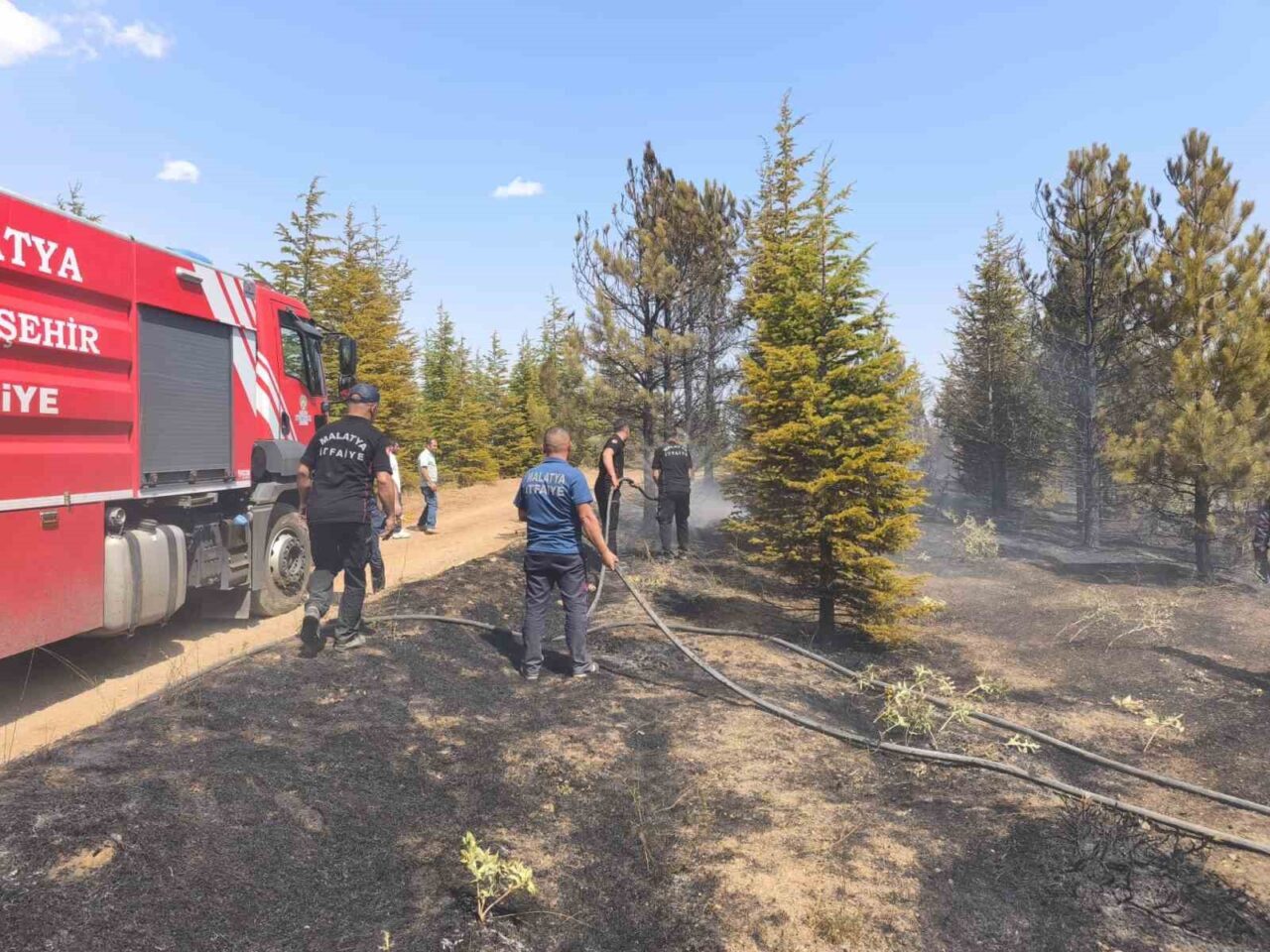 Malatya’nın Doğanşehir ilçesinde ormanlık alanda çıkan yangın söndürüldü. Doğanşehir ilçesi