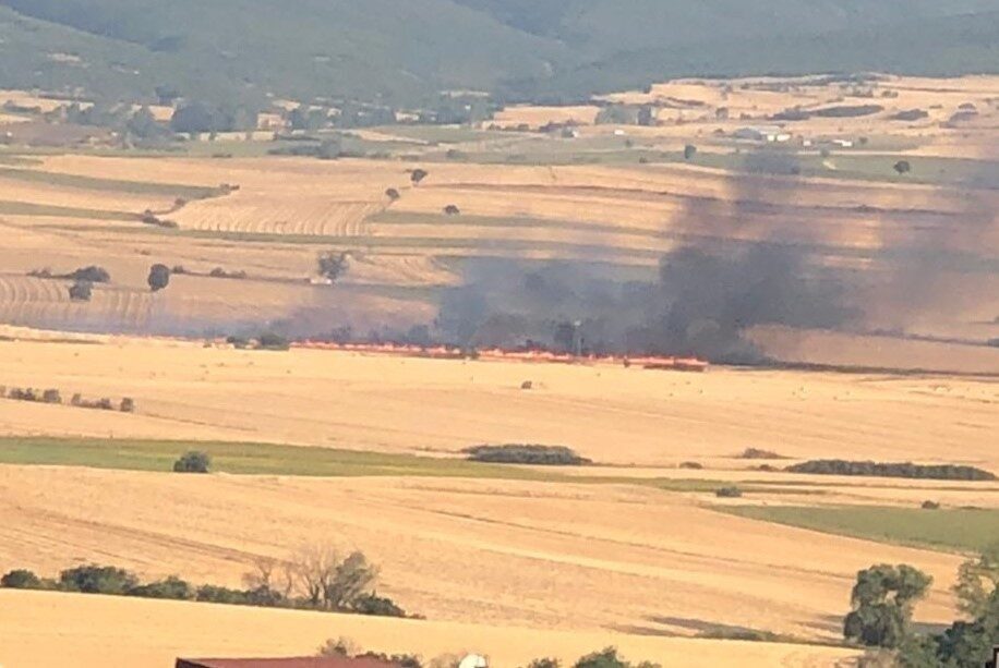 Tekirdağ’ın Malkara ilçesinde çıkan anız yangınında yaklaşık 200 dönüm biçilmiş