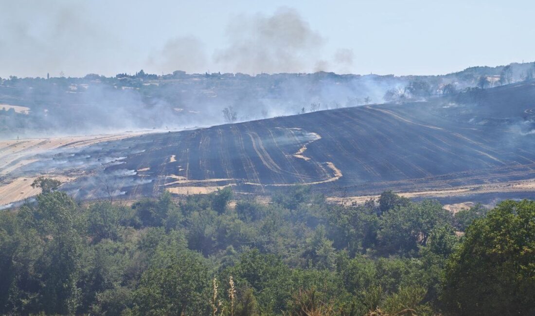 Tekirdağ’ın Malkara ilçesinde çıkan anız yangını, rüzgârın etkisiyle büyüyerek yaklaşık