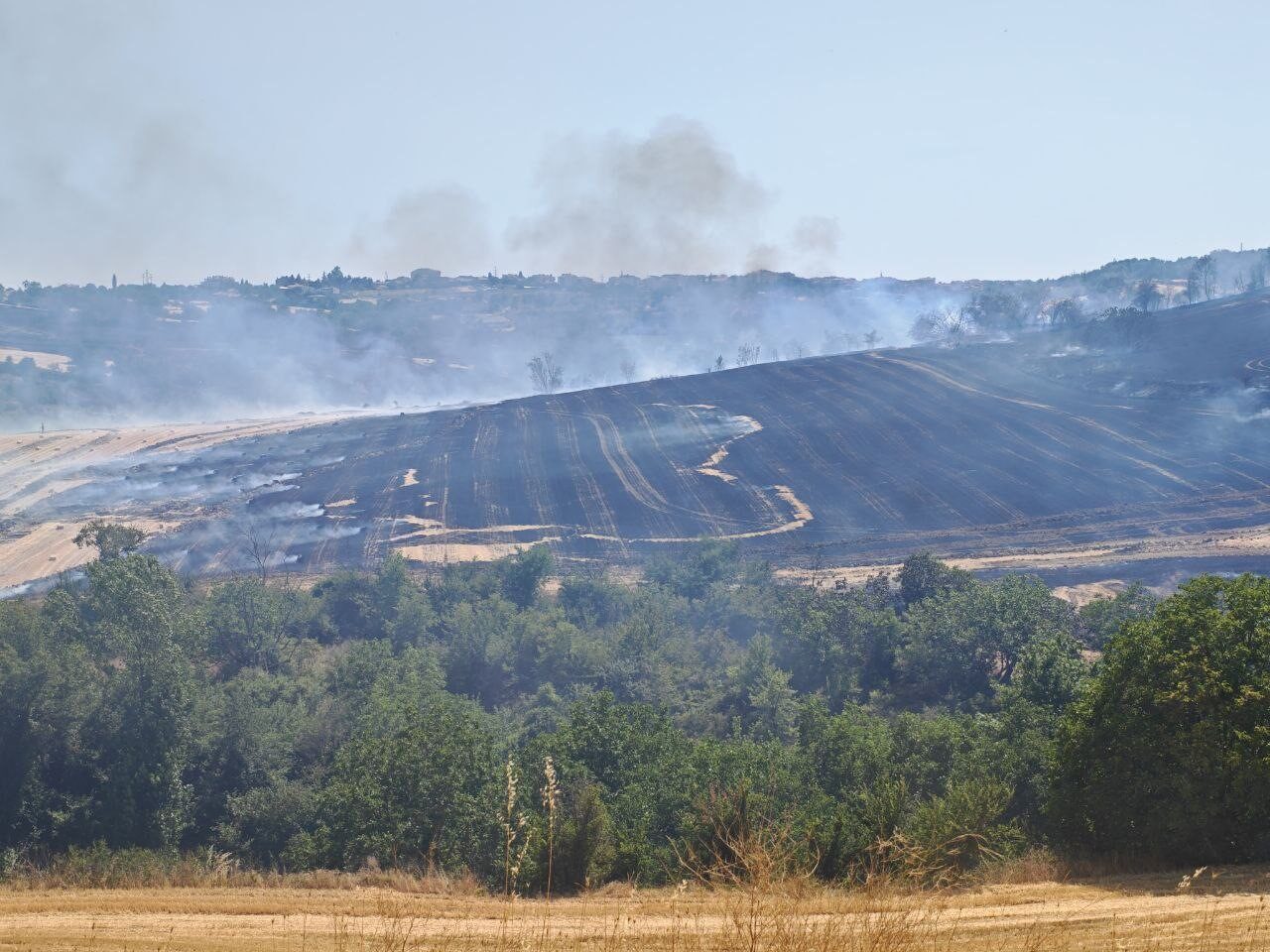 Tekirdağ’ın Malkara ilçesinde çıkan anız yangını, rüzgârın etkisiyle büyüyerek yaklaşık