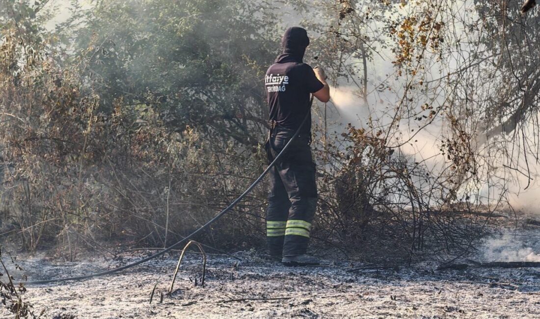 Tekirdağ’ın Malkara ilçesi Meşatlık mevkiinde çıkan anız yangını, rüzgarın etkisiyle
