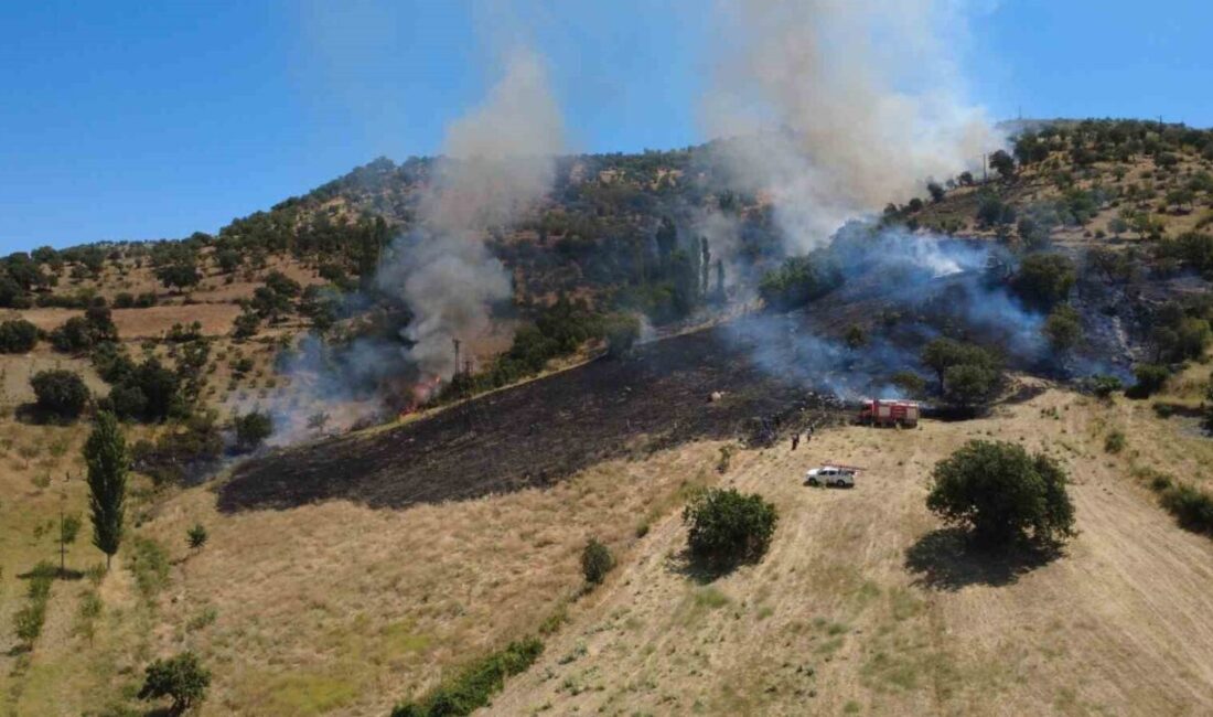 Manisa’nın Demirci ilçesinde çıkan orman yangını, ekiplerin havadan ve karadan