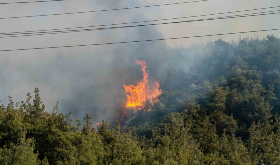 Manisa Valisi Vahdettin Özkan, Yunusemre ilçesindeki orman yangınının yerleşim birimleri