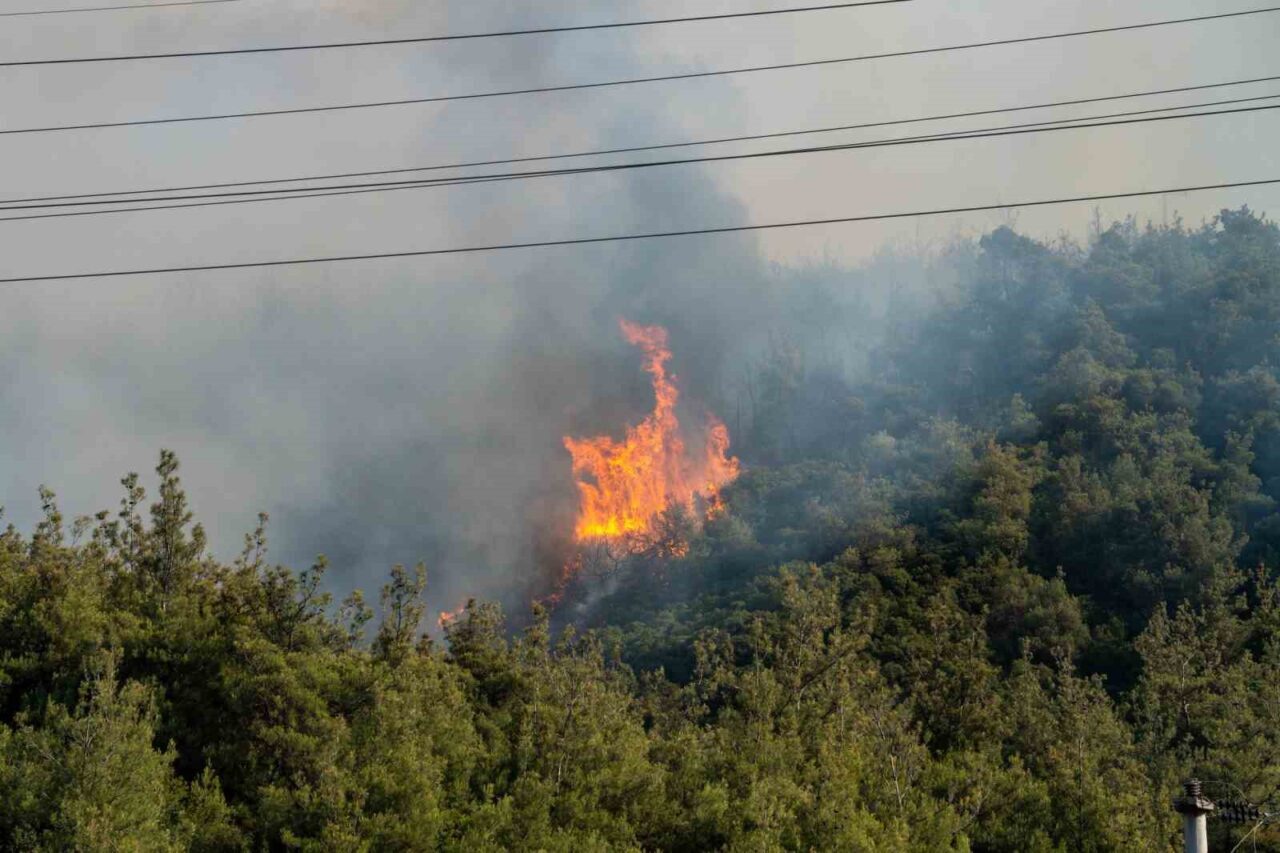 Manisa Valisi Vahdettin Özkan, Yunusemre ilçesindeki orman yangınının yerleşim birimleri