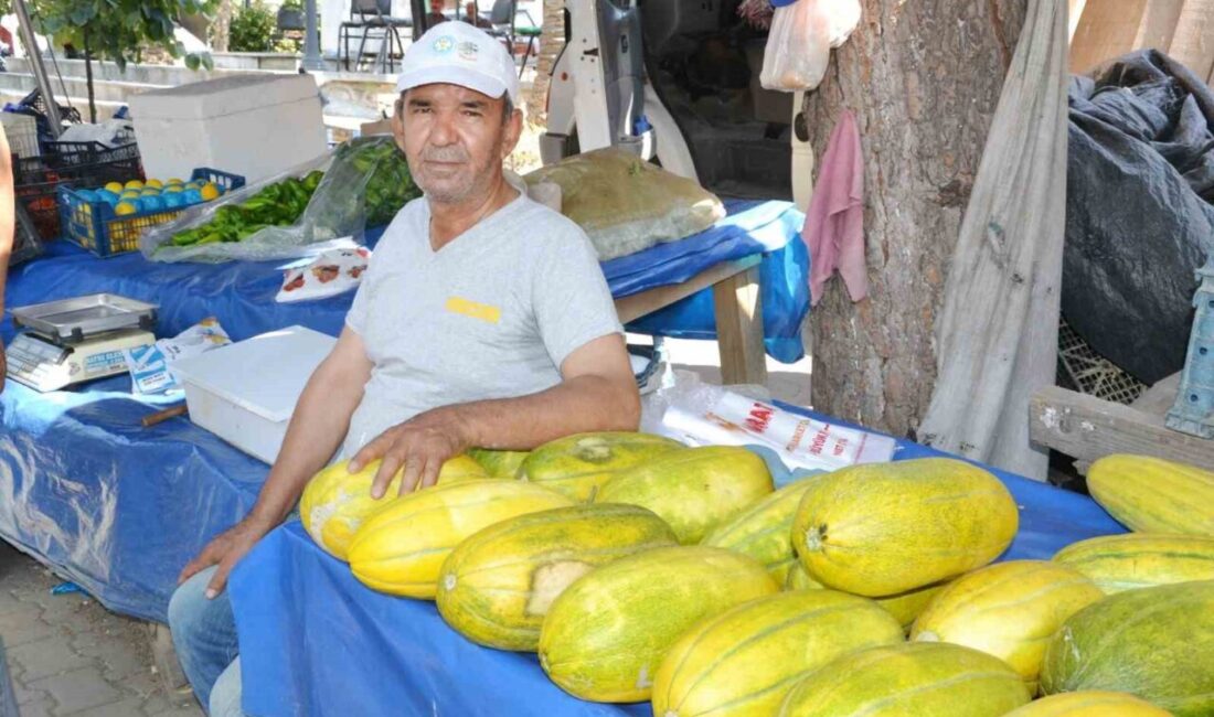 Manisa’da Karaoğlanlı bölgesinde Ata tohumundan yetişen, kendine has aroması ve