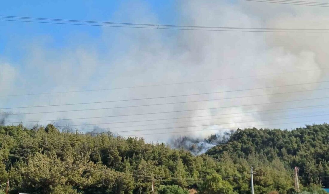 MANİSA (İHA) – Manisa’nın Yunusemre ilçesine bağlı Yukarı Kayapınar Mahallesi’nde