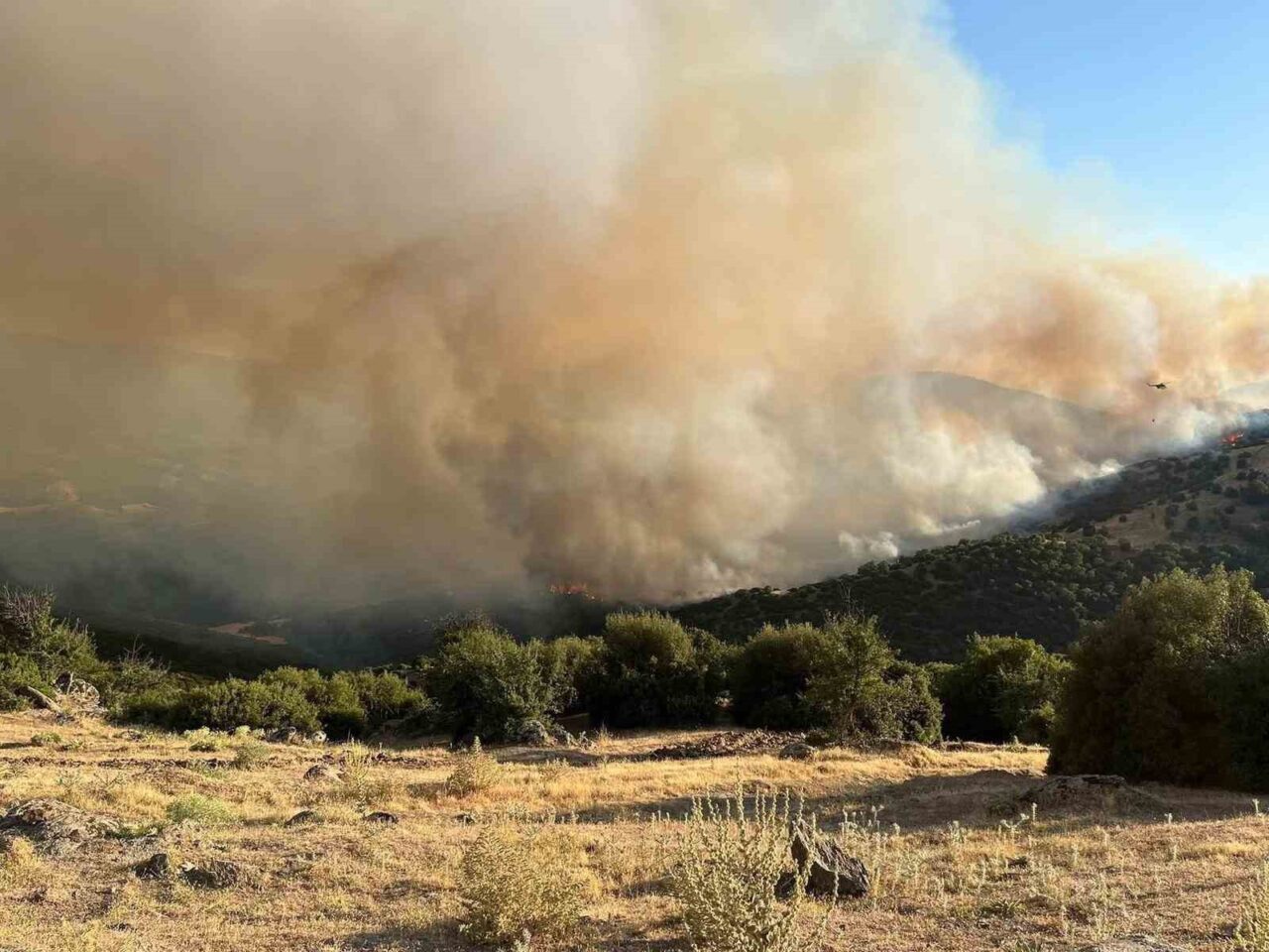 Manisa’nın Sarıgöl ilçesine bağlı Ziyanlar Mahallesi Türkmentepe mevkisinde, dere yatağında