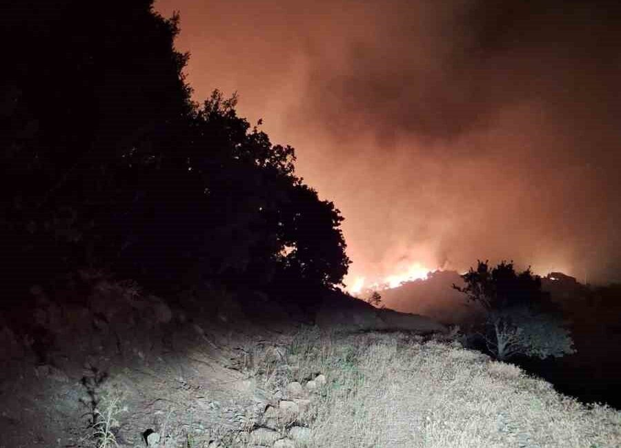 Manisa’nın Köprübaşı ilçesinde zirai alanda başlayan yangının ormana sıçraması sonrası