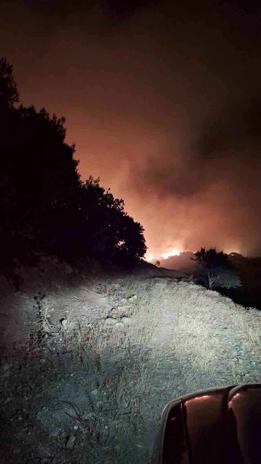 Manisa’nın Köprübaşı ilçesinde zirai alanda başlayan yangının ormana sıçraması sonrası