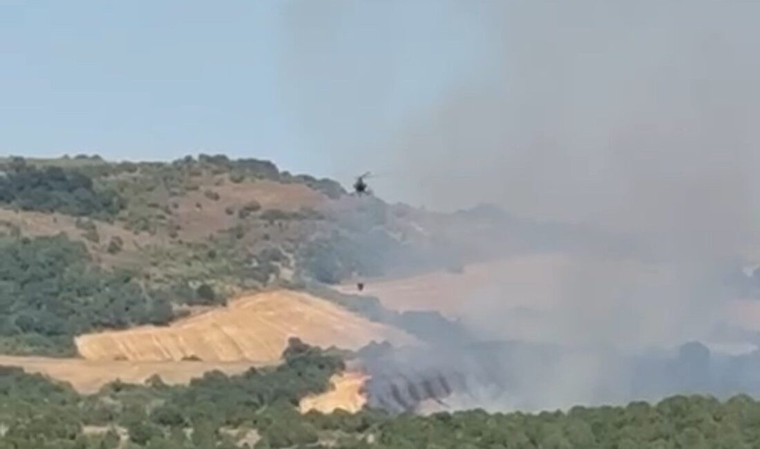 Balıkesir’in Manyas ilçesi Doğancı kırsal mahallesi yakınlarında ormanlık alanda çıkan