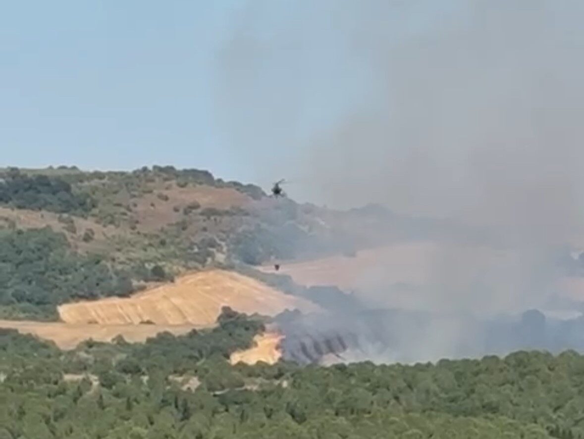 Balıkesir’in Manyas ilçesi Doğancı kırsal mahallesi yakınlarında ormanlık alanda çıkan