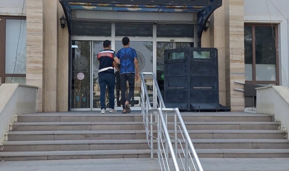 Mardin’de anız yakma anlarını sosyal medyada “Koskocaman tarlayı çubukla yaktık”