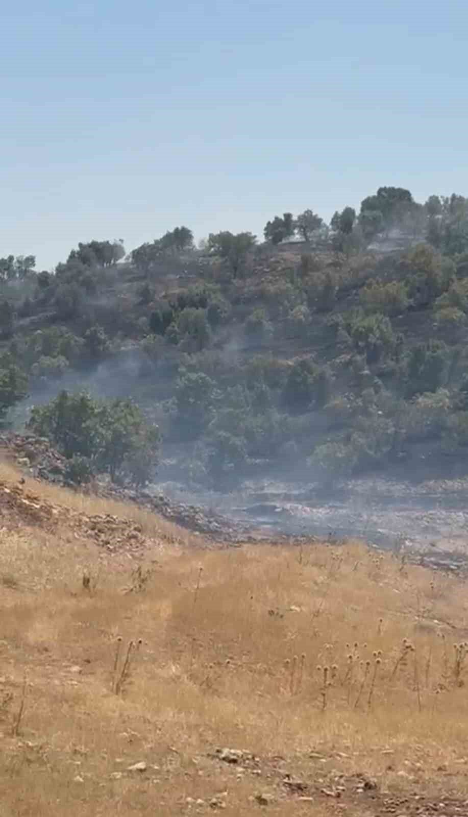 Mardin’in Midyat ilçesinde çıkan örtü yangını ekiplerin yaptığı müdahaleyle kontrol
