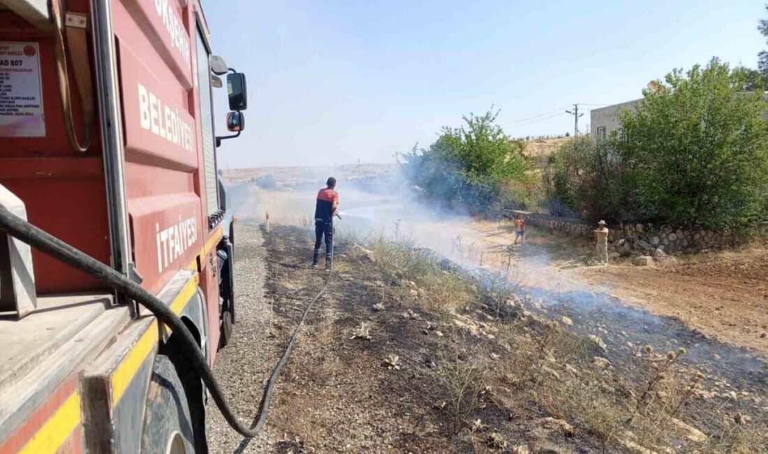 Mardin’in Midyat ilçesinde ormanlık alanda çıkan örtü yangınına ekiplerin müdahalesi