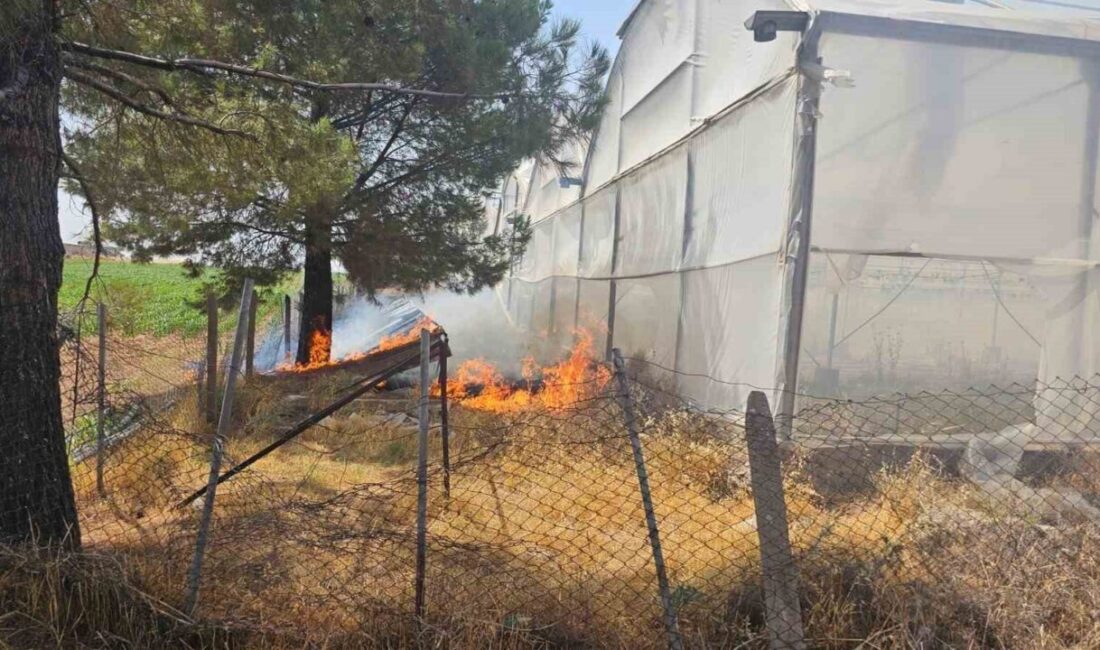 Mardin’in Artuklu ilçesinde seranın yakınındaki otluk alanda çıkan yangın, ekiplerin