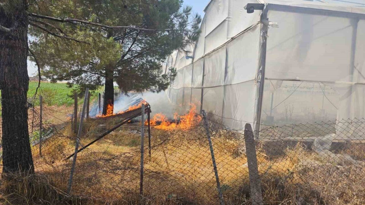 Mardin’in Artuklu ilçesinde seranın yakınındaki otluk alanda çıkan yangın, ekiplerin