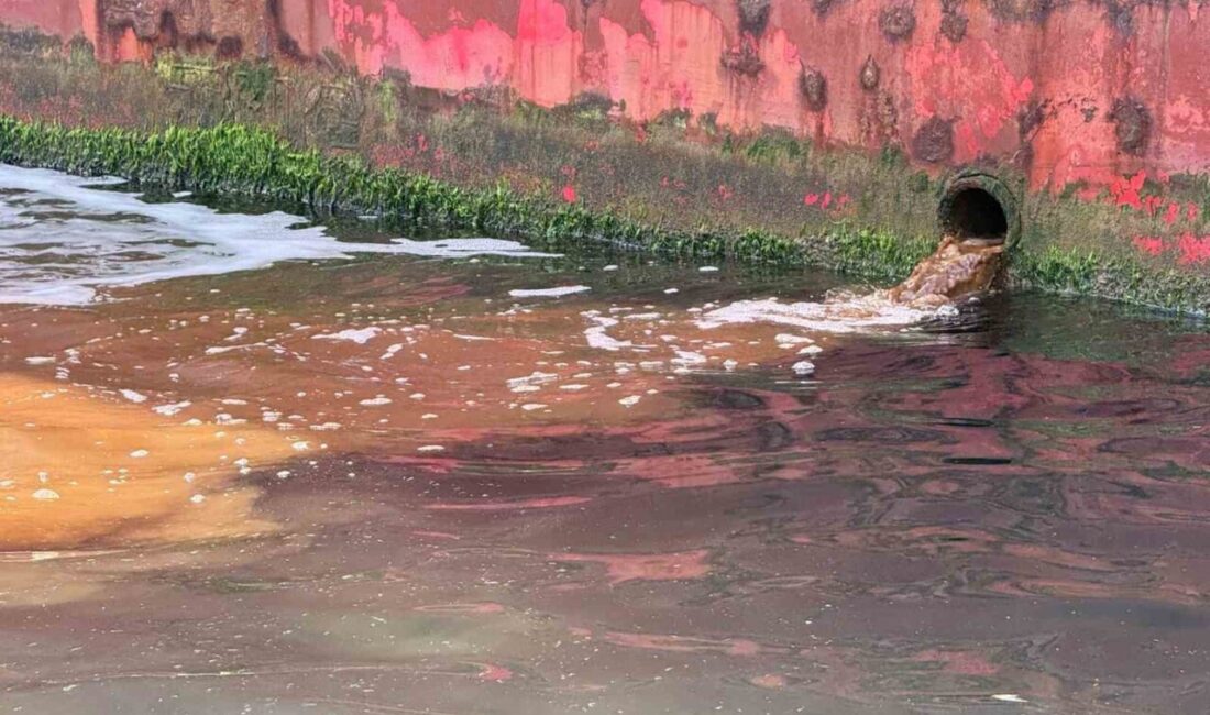 Çevre, Şehircilik ve İklim Değişikliği Bakanlığı ekipleri, Yalova’da denize atık