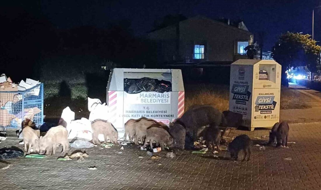 Türkiye’nin gözde turizm şehri olarak bilinen Muğla’nın Marmaris ilçesi, Marmaris