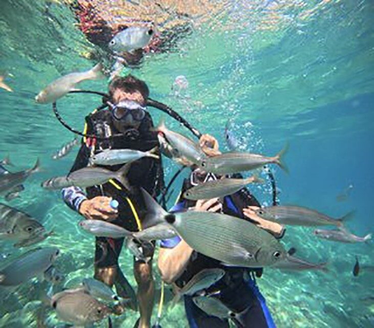 Muğla’nın gözde turizm merkezlerinden Marmaris, berrak denizi ve zengin su
