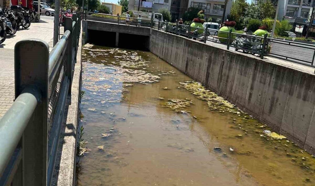 Muğla’nın Marmaris ilçesi Siteler Mahallesi’nde bulunan dere, hem kötü kokusu
