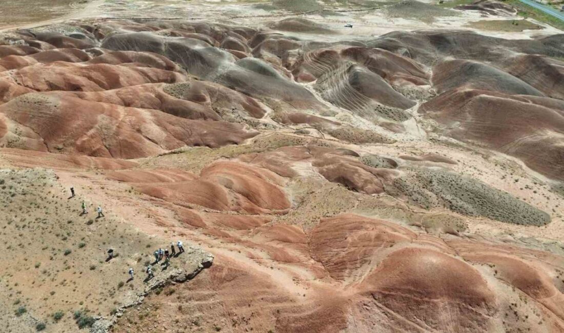 Iğdır’ın Tuzluca ilçesinde bulunan ve sıra dışı görünümüyle dikkat çeken