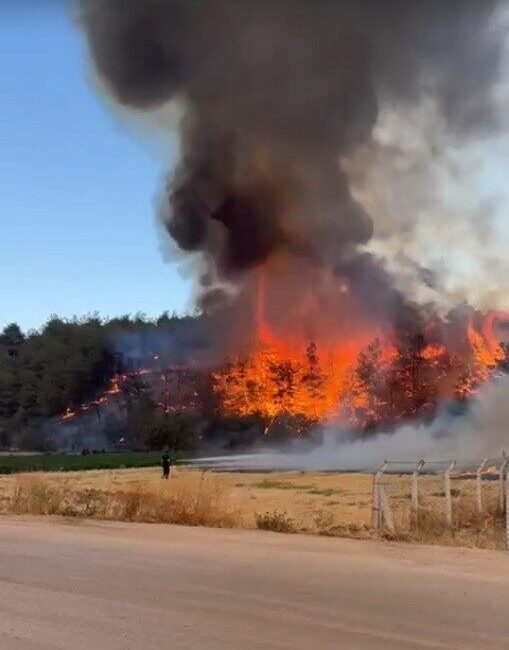 Bilecik’te Osmaneli ilçesine bağlı Medetli köyünde orman yangını başladı. Sakarya’nın