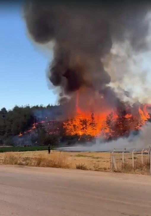 Bilecik’te Osmaneli ilçesine bağlı Medetli köyünde orman yangını başladı. Sakarya’nın