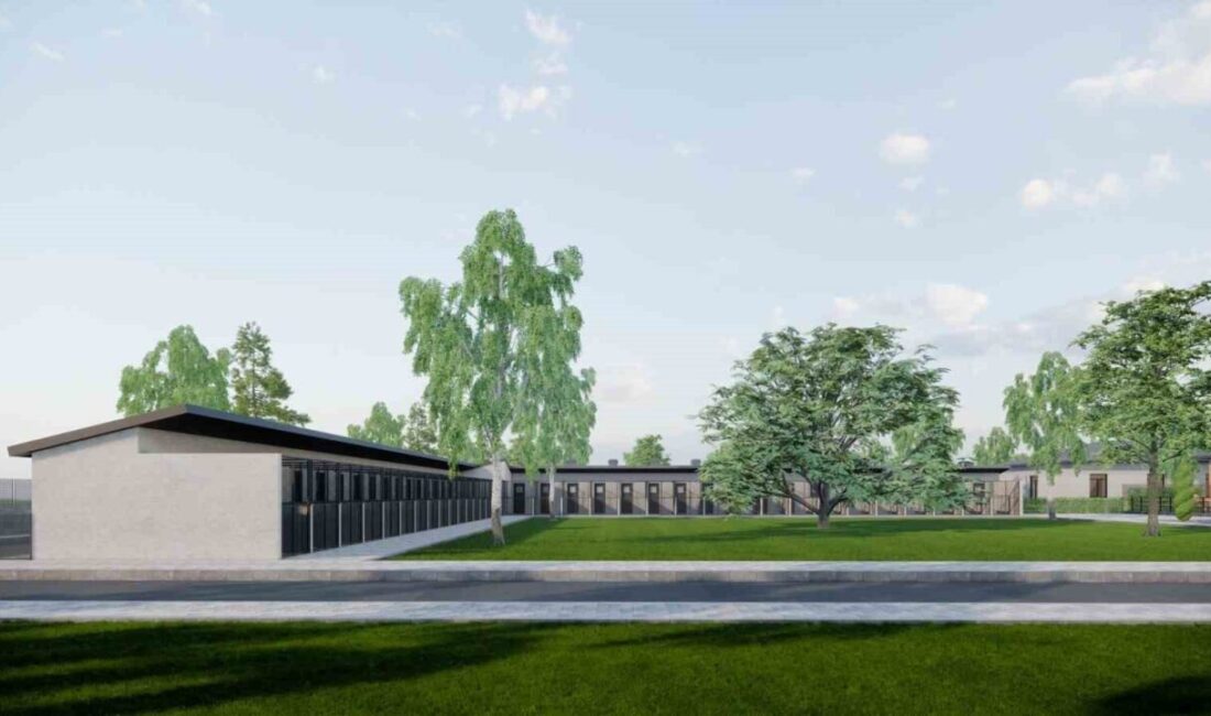 Melikgazi Belediyesi, kimsesiz sokak hayvanlarının bakımı, barınak ve doğal yaşam