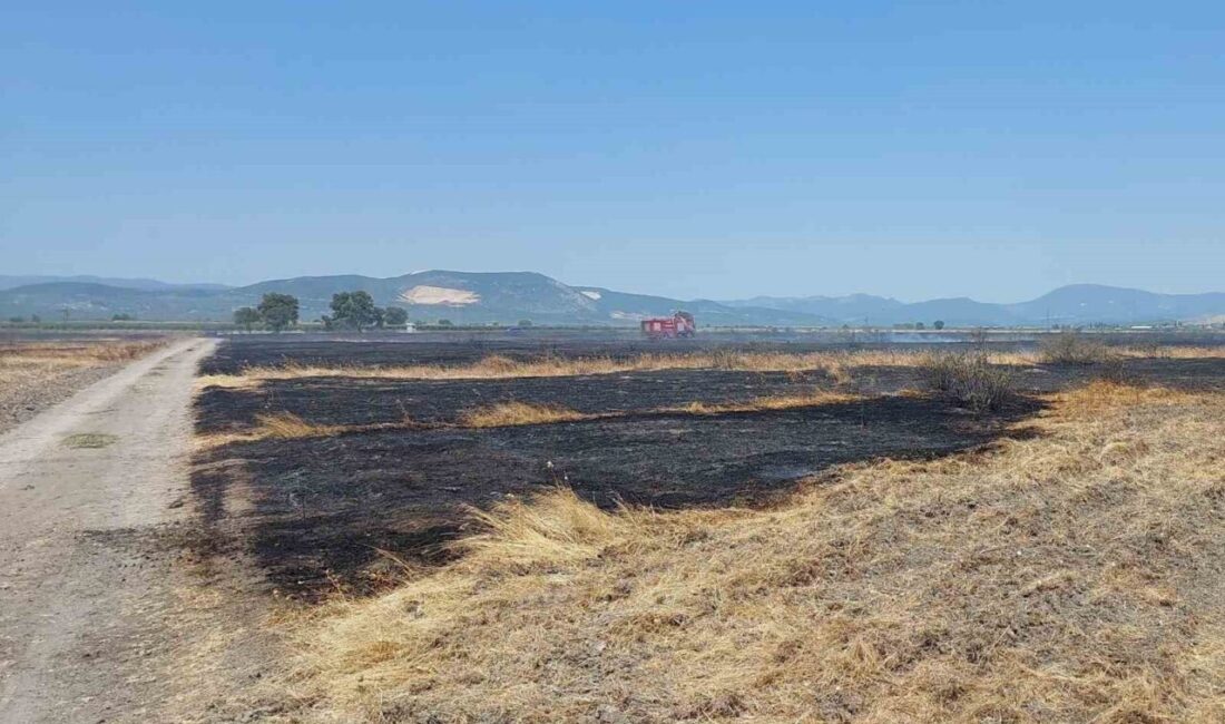Manisa’nın Saruhanlı ilçesine bağlı Kayışlar Mahallesi’nde, henüz belirlenemeyen bir nedenle