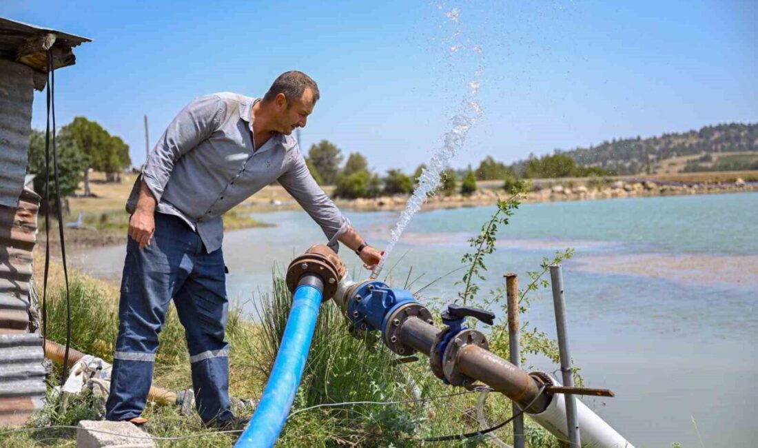 Mersin Büyükşehir Belediyesi, tarımsal üretimi desteklemek amacıyla Atlılar (Sadiye) Mahallesi’ne