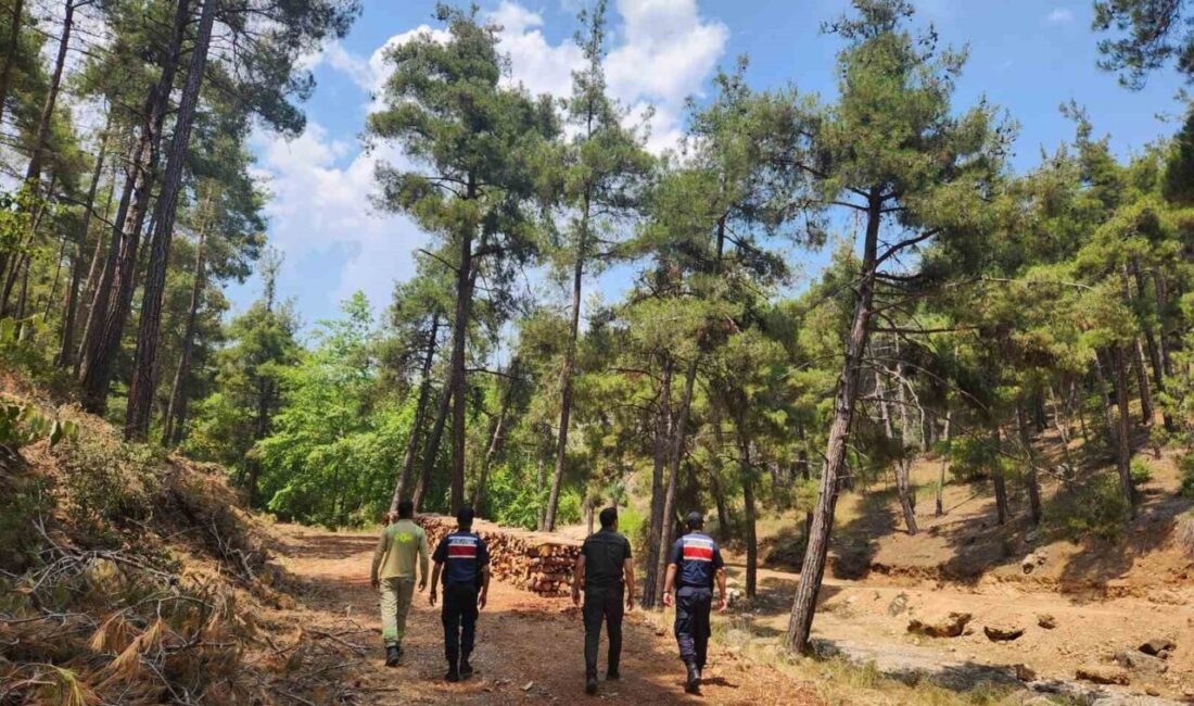 Mersin İl Jandarma Komutanlığı ekipleri, yaz aylarında çıkabilecek orman yangınlarına