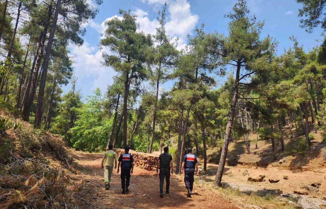 Mersin İl Jandarma Komutanlığı ekipleri, yaz aylarında çıkabilecek orman yangınlarına