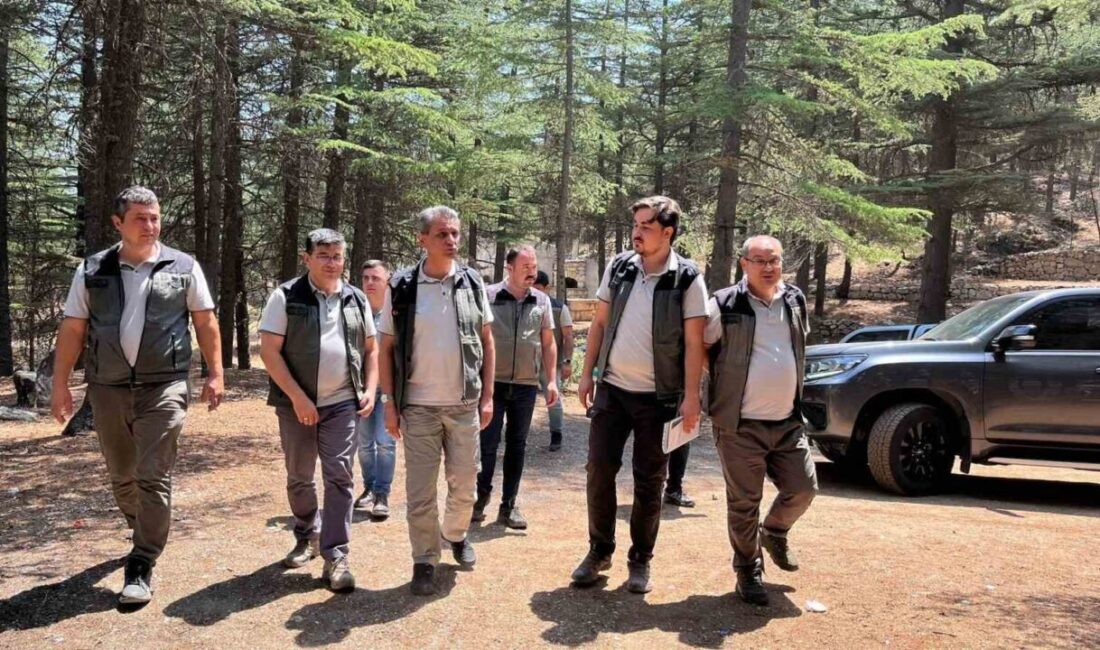 Mersin Orman Bölge Müdürü Rıfat Ataş, Gülnar ilçesinde çeşitli ormancılık