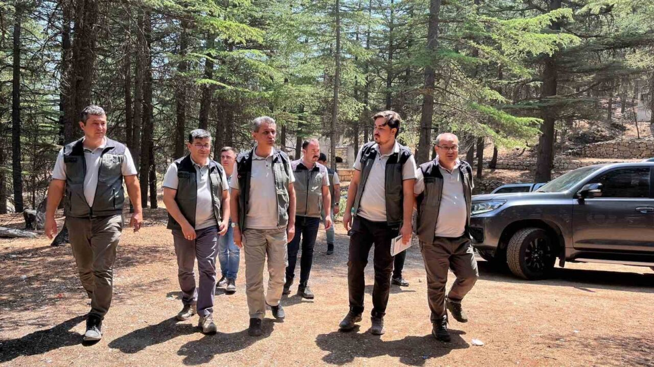 Mersin Orman Bölge Müdürü Rıfat Ataş, Gülnar ilçesinde çeşitli ormancılık