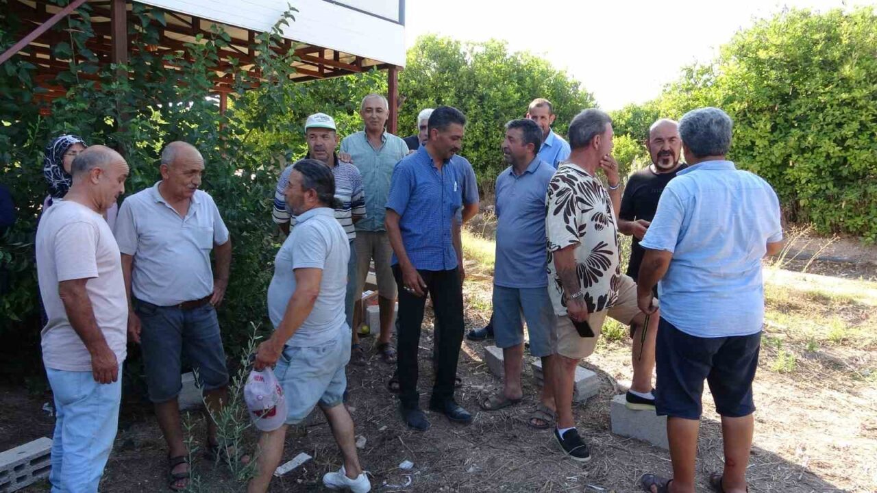 Mersin’in merkez Mezitli ilçesine bağlı Davultepe ve Tece mahallelerinde köylü