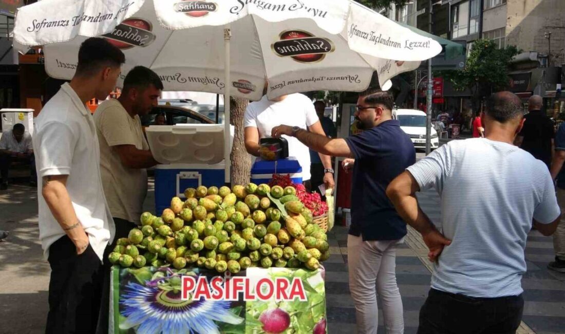 Mersin’de doğada kendiliğinden yetişen dikenli incir, seyyar tezgahlarda yerini aldı.