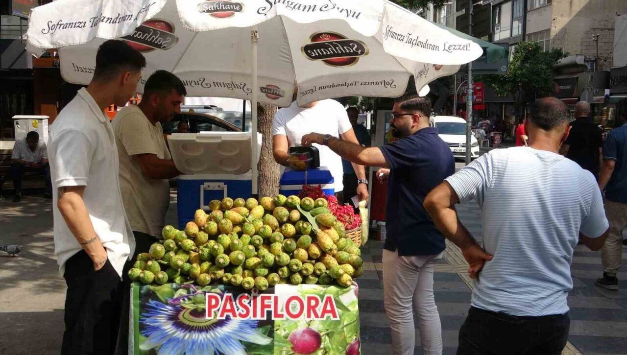 Mersin’de doğada kendiliğinden yetişen dikenli incir, seyyar tezgahlarda yerini aldı.