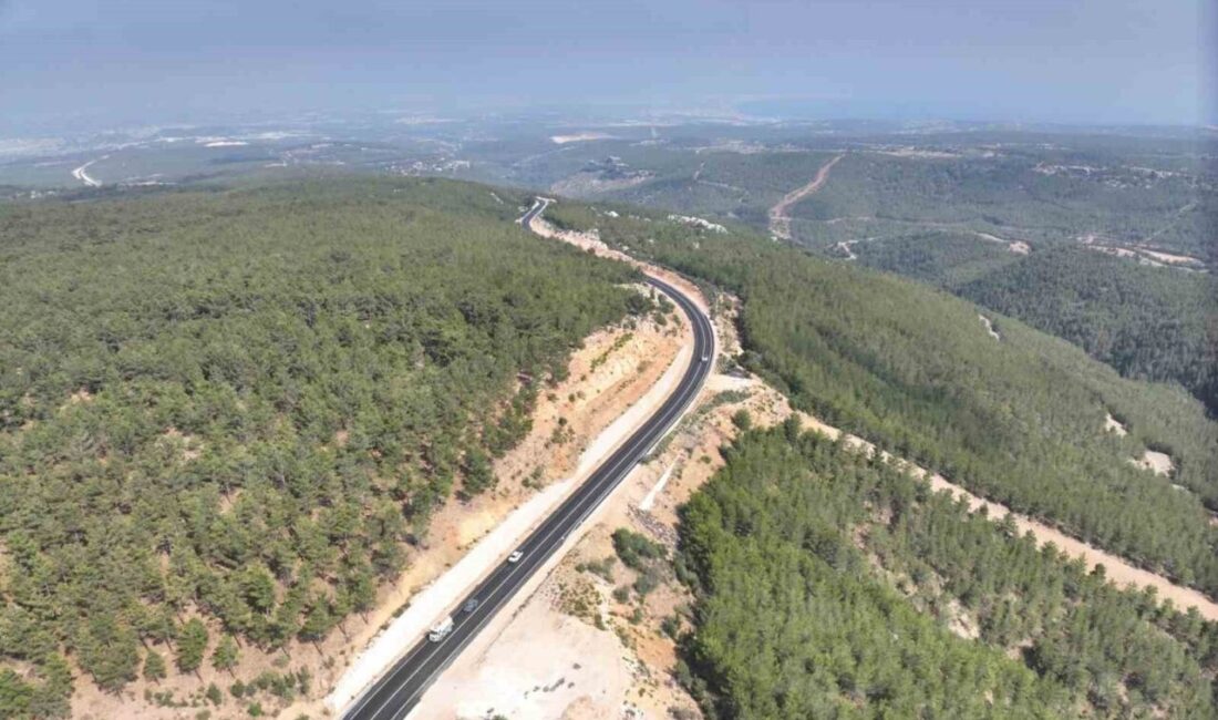 Mersin Orman Bölge Müdürlüğü, yaz mevsimiyle birlikte artan orman yangını