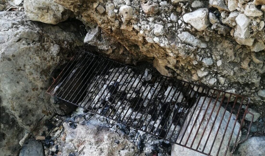 Mersin’in Çamlıyayla ilçesinde ormanlık bölgede piknik yapan kişiye idari ceza