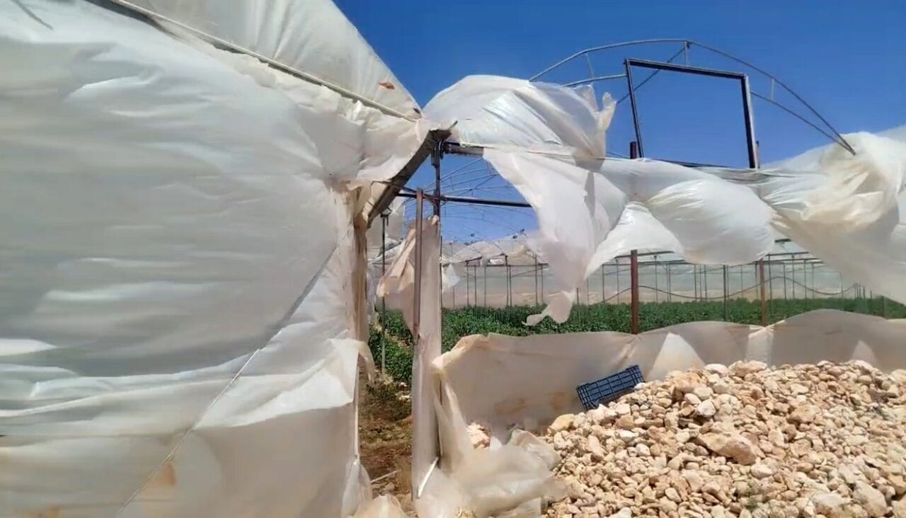 Mersin’in Erdemli ilçesine bağlı yaylalarda son günlerde etkili olan rüzgar,