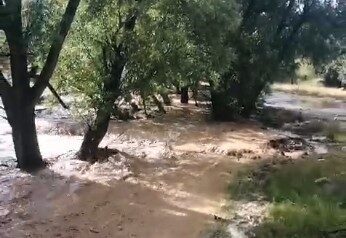 Mersin’in Erdemli ilçesinin yüksek kesimlerinde etkili olan sağanak yağış, dere