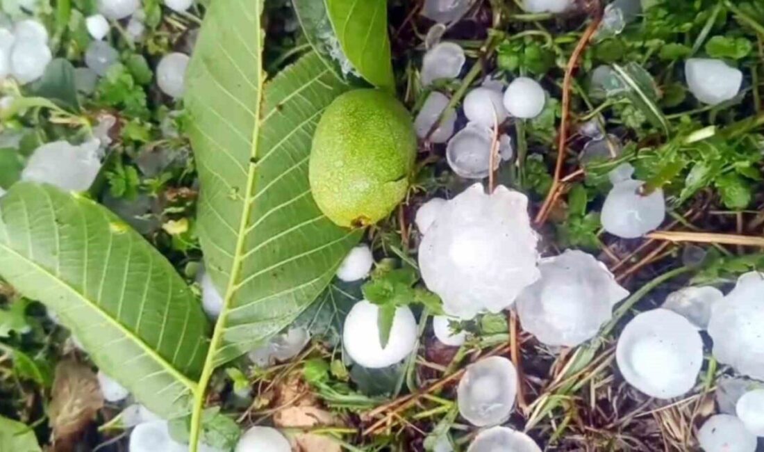 Mersin’in Erdemli ilçesinin yüksek kesimlerinde etkili olan şiddetli dolu yağışı,