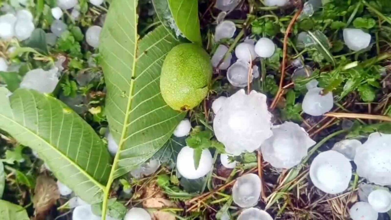 Mersin’in Erdemli ilçesinin yüksek kesimlerinde etkili olan şiddetli dolu yağışı,