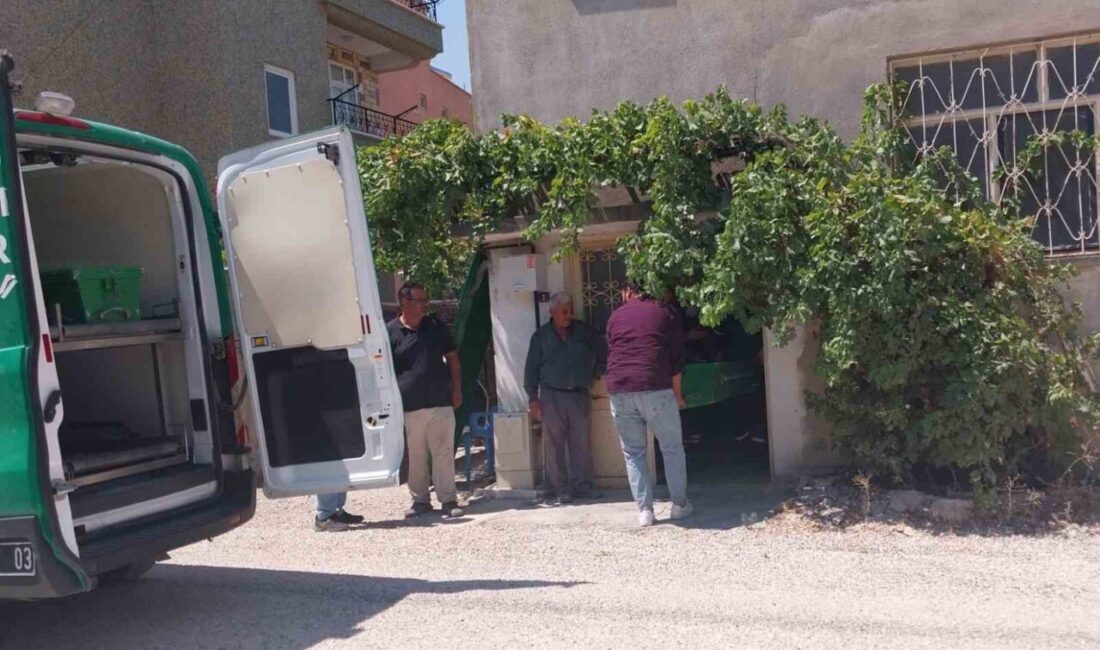 Mersin’in Mut ilçesinde şizofren hastası olduğu belirtilen şahıs, annesini bıçaklayarak