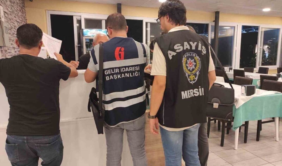 Mersin’de gerçekleştirilen denetimlerde, ruhsatsız faaliyet gösteren ve çeşitli usulsüzlükler tespit