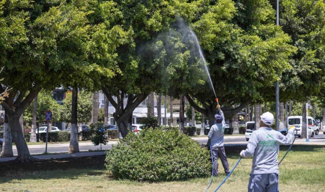 Mersin Büyükşehir Belediyesi, vatandaşların yaz aylarını sağlıklı ve huzurlu geçirmesi