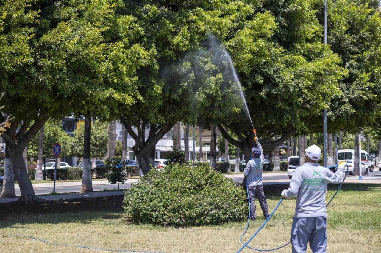 Mersin Büyükşehir Belediyesi, vatandaşların yaz aylarını sağlıklı ve huzurlu geçirmesi